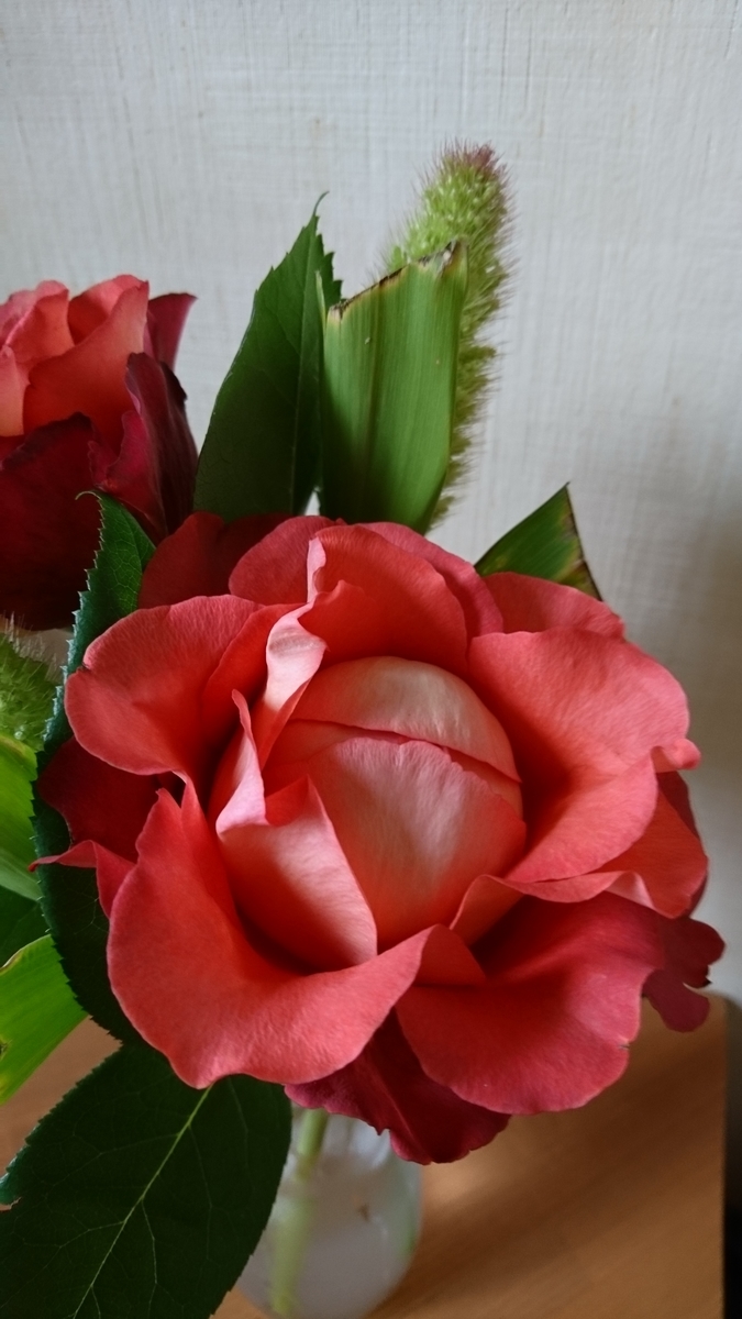 f:id:bellzou:20200607211847j:plain f:id:bellzou:20200607211847j:plain