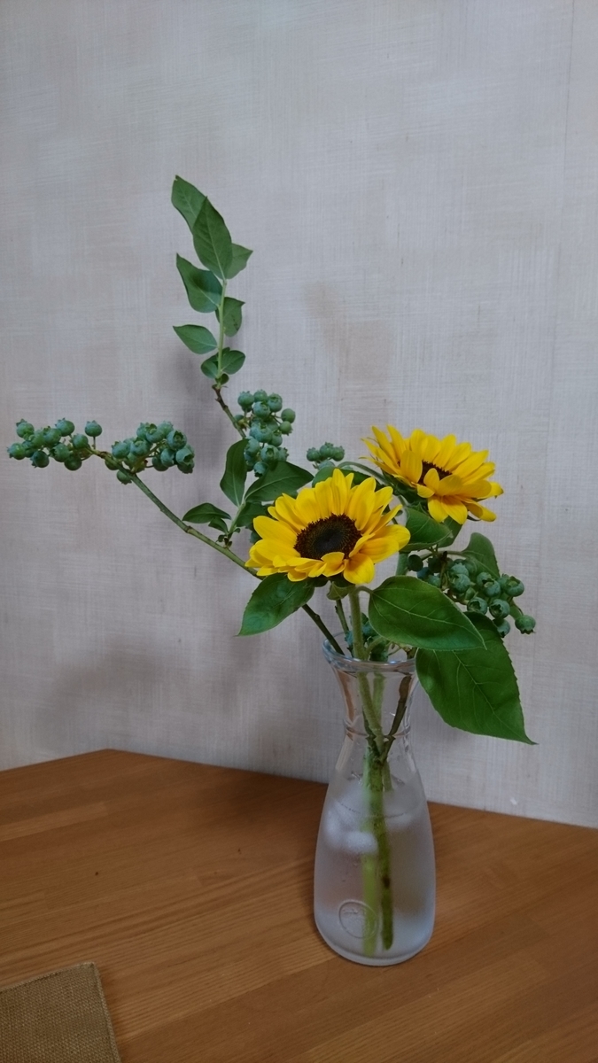 f:id:bellzou:20200614113144j:plain f:id:bellzou:20200614113144j:plain
