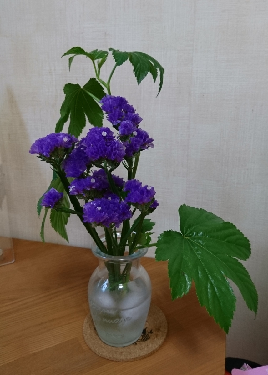 f:id:bellzou:20200725223855j:plain f:id:bellzou:20200725223855j:plain