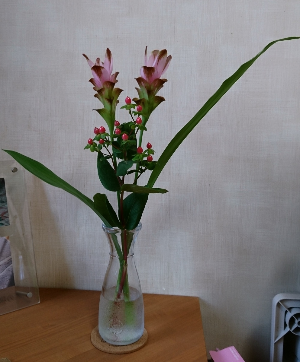 f:id:bellzou:20200822223005j:plain f:id:bellzou:20200822223005j:plain