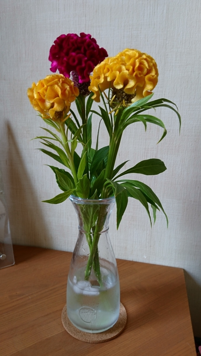 f:id:bellzou:20200822223029j:plain f:id:bellzou:20200822223029j:plain