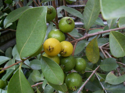 f:id:bellzou:20200913164224j:plain f:id:bellzou:20200913164224j:plain