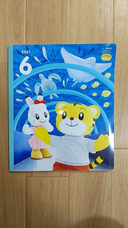 口コミ・評判】「おとえほん」付きこどもちゃれんじぽけっと6月号