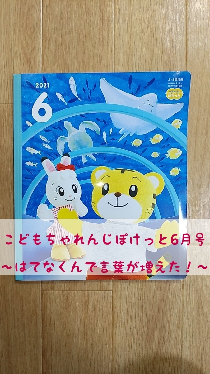口コミ・評判】「おとえほん」付きこどもちゃれんじぽけっと6月号 口コミ・評判】「おとえほん」付きこどもちゃれんじぽけっと6月号