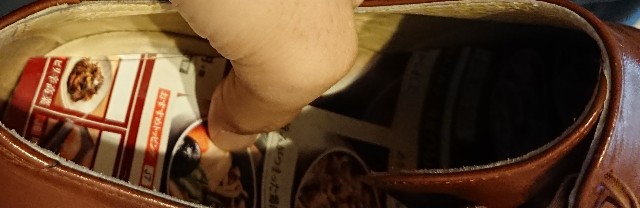 f:id:belphegor729:20191211100103j:image