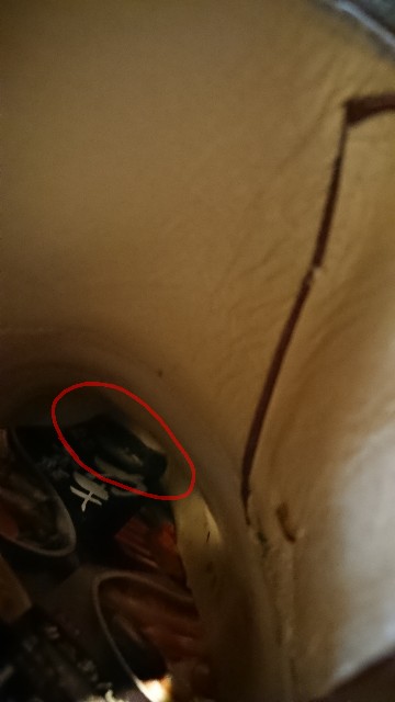 f:id:belphegor729:20191211100122j:image