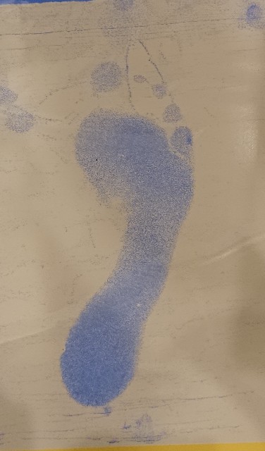 f:id:belphegor729:20200101101752j:image f:id:belphegor729:20200101101752j:image