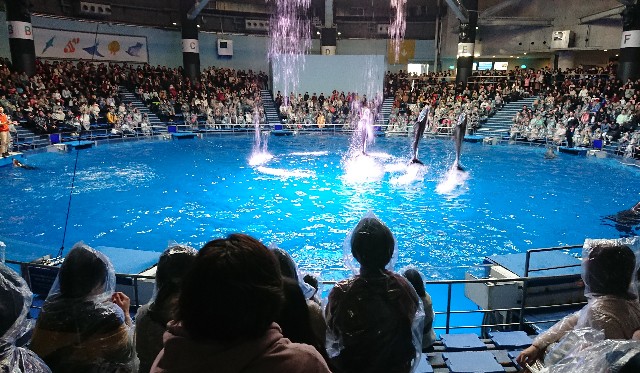 f:id:belphegor729:20200110201232j:image