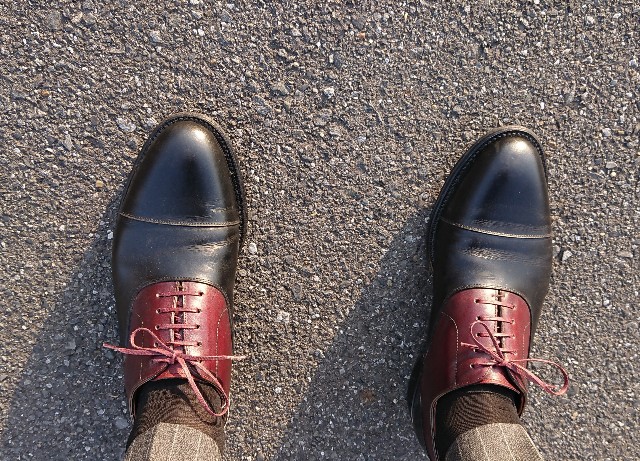 f:id:belphegor729:20200225190226j:image