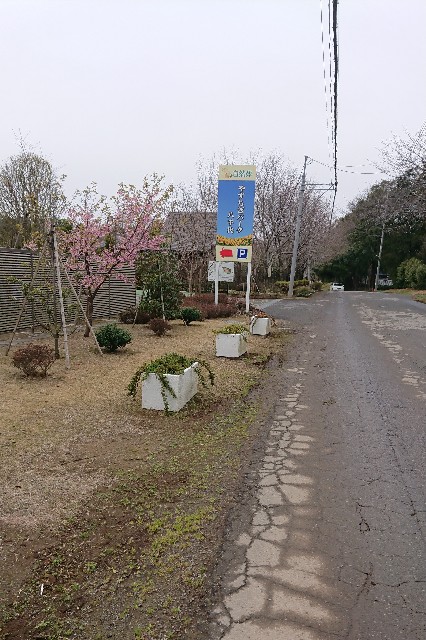 f:id:belphegor729:20200312090625j:image