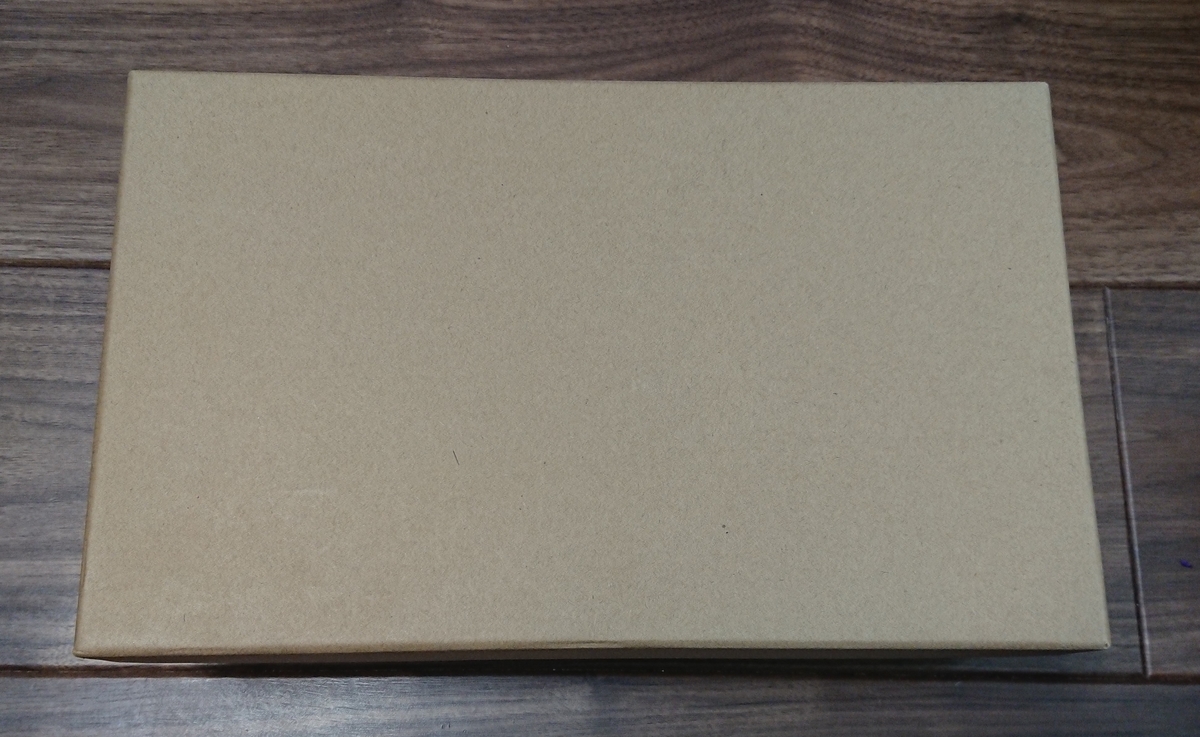 f:id:belphegor729:20200609105939j:plain f:id:belphegor729:20200609105939j:plain