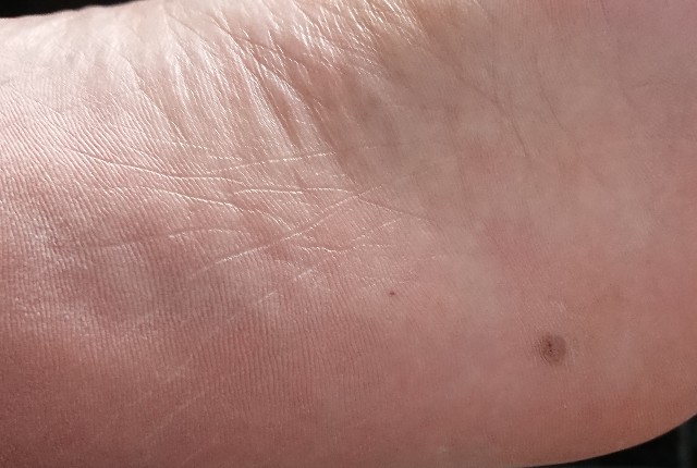 f:id:belphegor729:20201112190651j:image