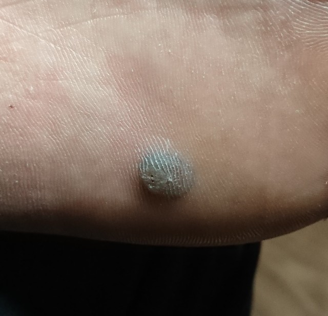 f:id:belphegor729:20201112231914j:image