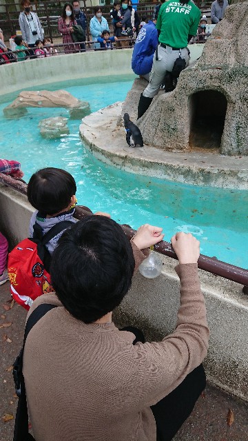 f:id:belphegor729:20201120095818j:image