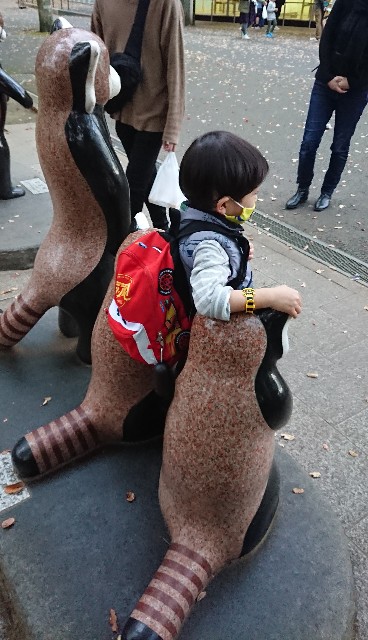 f:id:belphegor729:20201120095836j:image