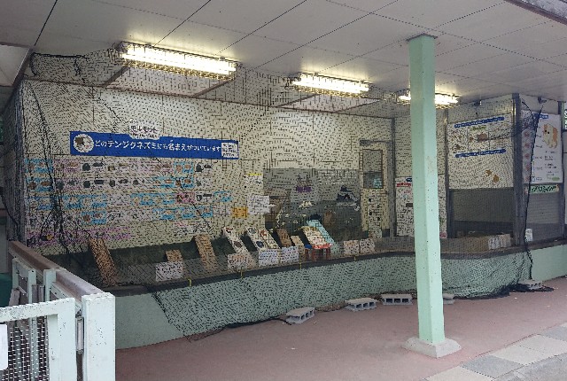 f:id:belphegor729:20201209123344j:image