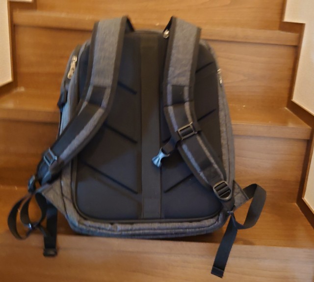 f:id:belphegor729:20201228094739j:image