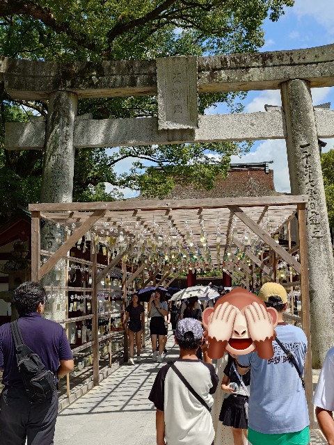 f:id:belphegor729:20250828222925j:image