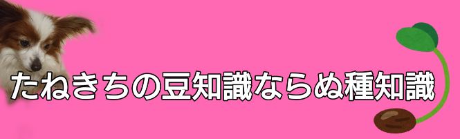 たねきちの豆知識ならぬ種知識