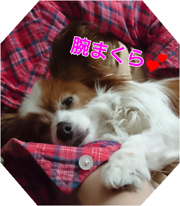 記事まとめ!近況報告!【読者数152⇨176】(5/8〜5/16)