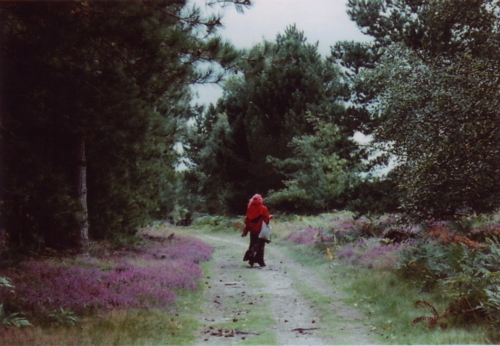 ãã¬ã³ãã«ã·ã£ã ã®æ£®ãã®ç»åæ¤ç´¢çµæ