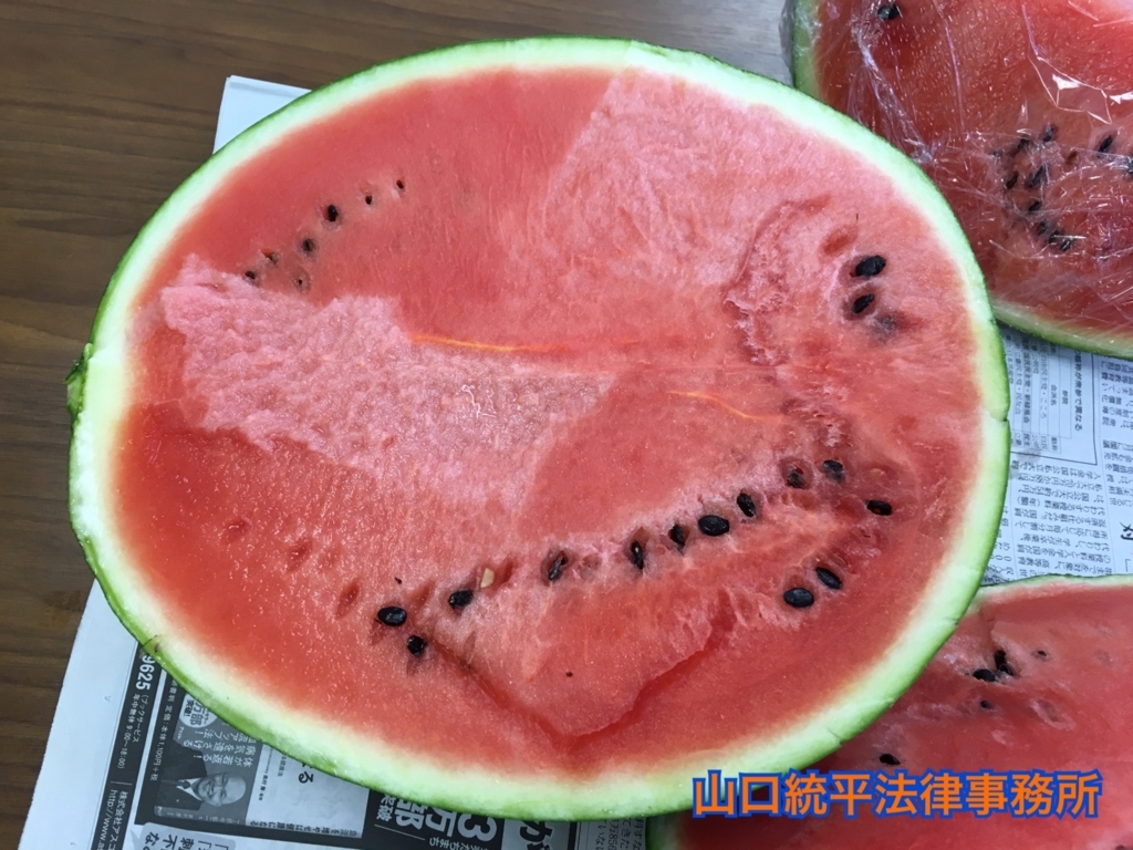 f:id:bengoshi-nagoya:20180612140921j:plain f:id:bengoshi-nagoya:20180612140921j:plain
