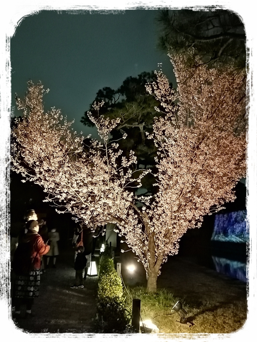 f:id:bengoshi-nagoya:20200329143537j:plain