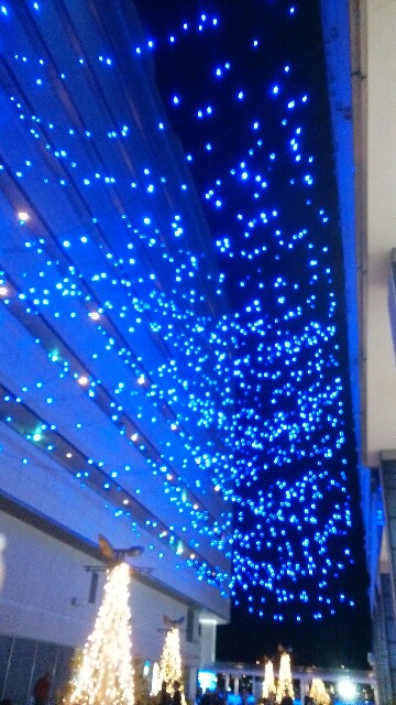 f:id:beni_sou:20200201031534j:image