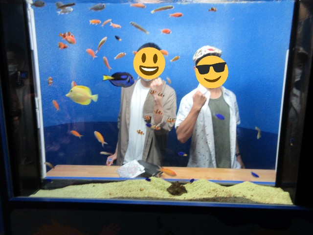 f:id:beni_sou:20211028014527j:image