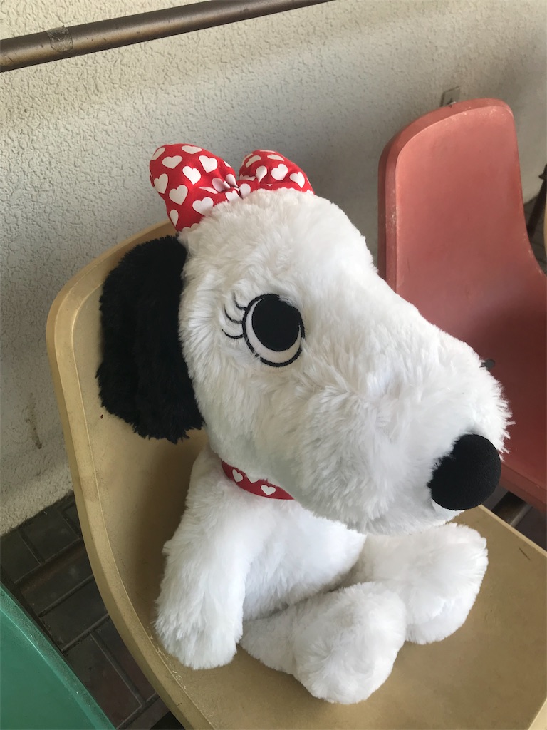 f:id:benibon0917love:20190406123122j:image