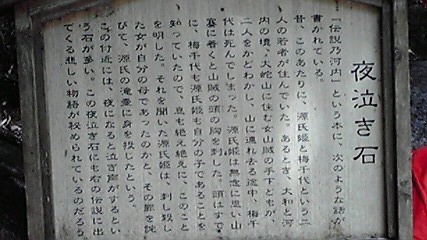 f:id:benishimamenou:20100505194039j:image