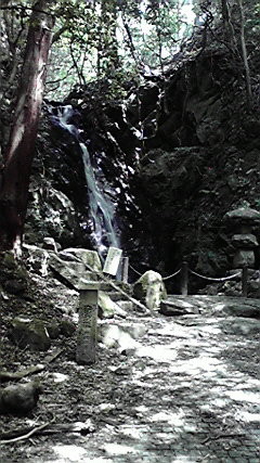 f:id:benishimamenou:20100505194108j:image