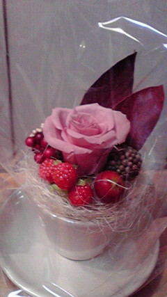 f:id:benishimamenou:20100506213127j:image