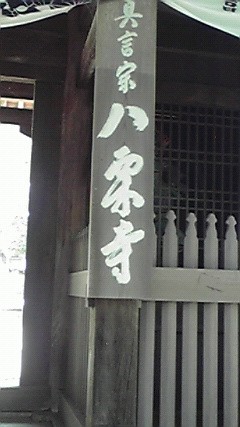 f:id:benishimamenou:20120815193115j:image:w360