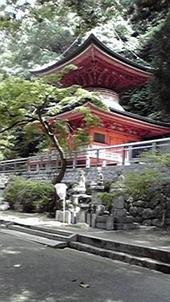 f:id:benishimamenou:20120815201706j:image:w360