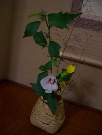 2010.7.14茶道のお稽古　花