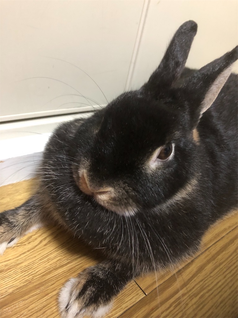 f:id:benjaminbanny:20190919204523j:image f:id:benjaminbanny:20190919204523j:image