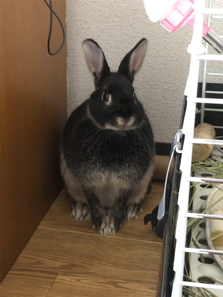 f:id:benjaminbanny:20190922191629j:image f:id:benjaminbanny:20190922191629j:image