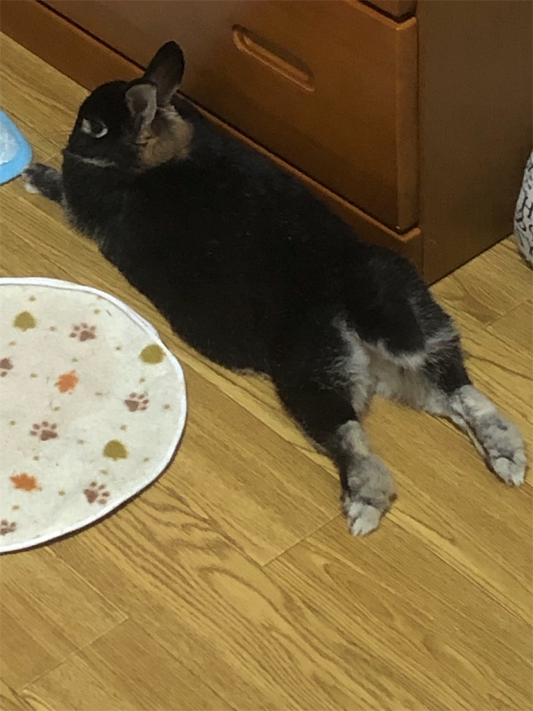 f:id:benjaminbanny:20190924164034j:image f:id:benjaminbanny:20190924164034j:image