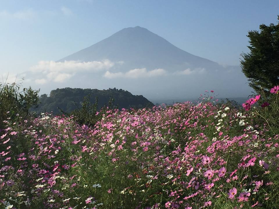 f:id:benkaku:20171010052040j:plain