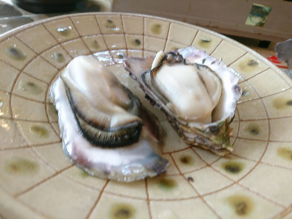 f:id:benkaku:20180219133559j:plain