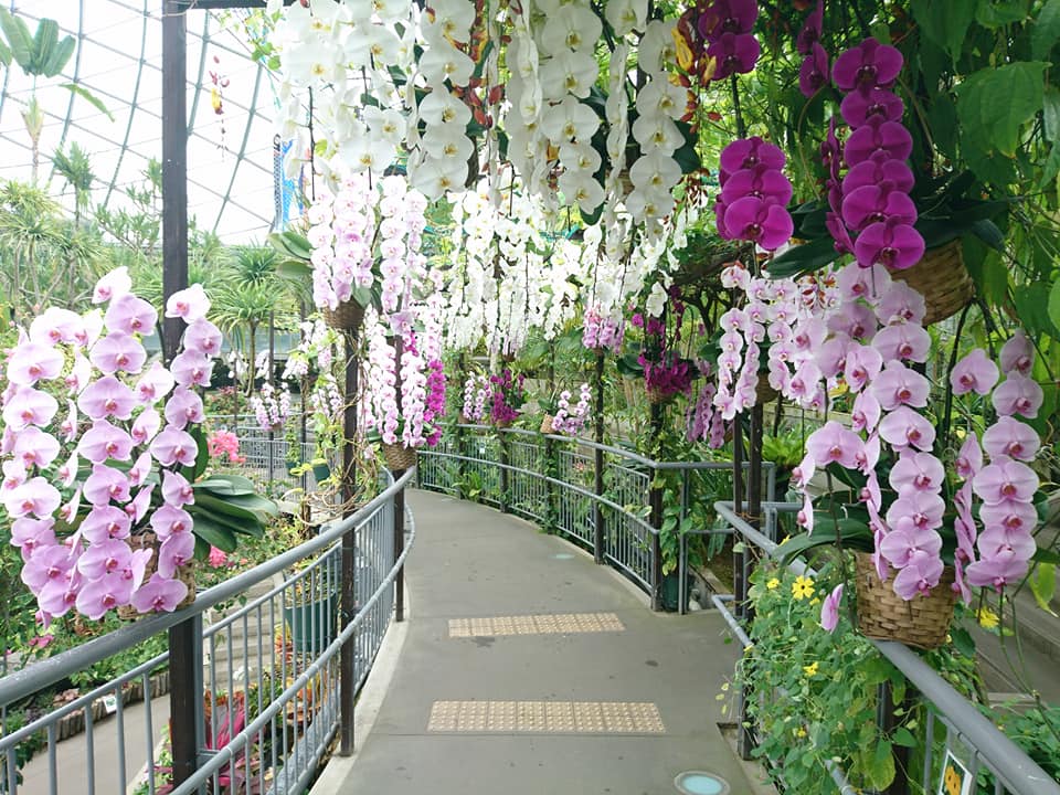 f:id:benkaku:20180529122525j:plain