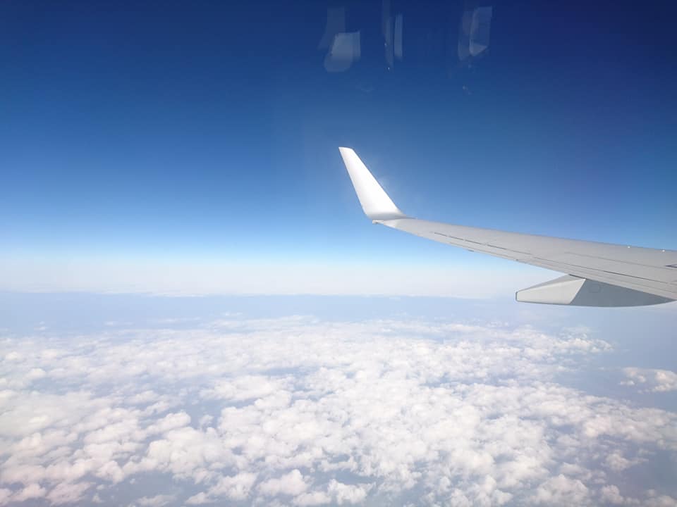 f:id:benkaku:20190124141220j:plain f:id:benkaku:20190124141220j:plain