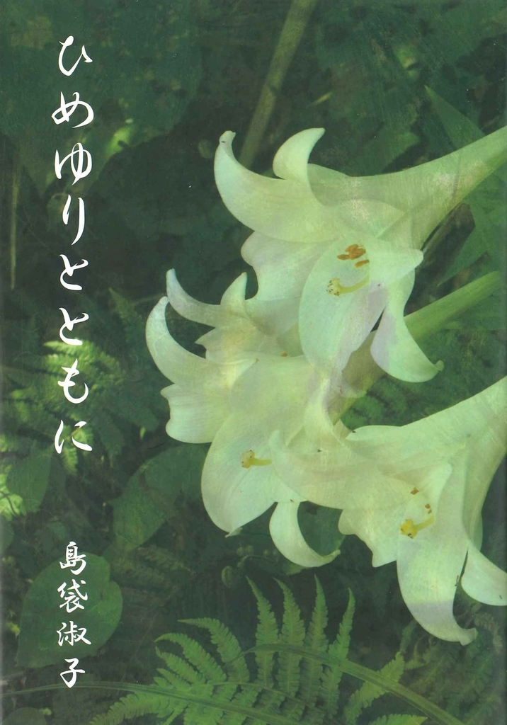 f:id:benkaku:20190130110209j:plain f:id:benkaku:20190130110209j:plain