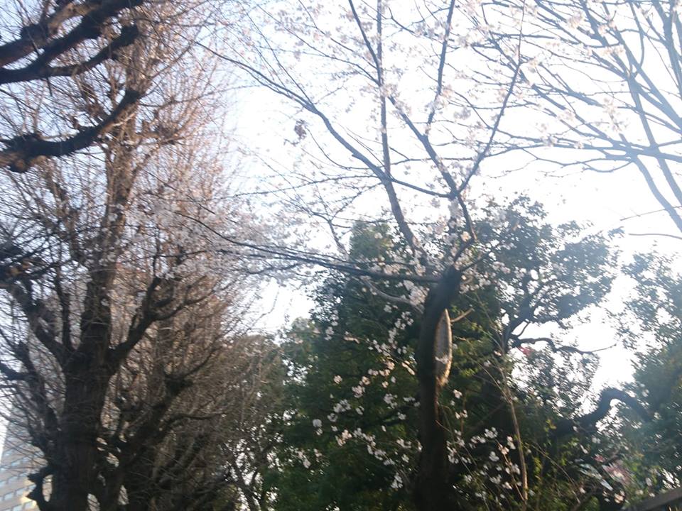 f:id:benkaku:20190328133732j:plain f:id:benkaku:20190328133732j:plain