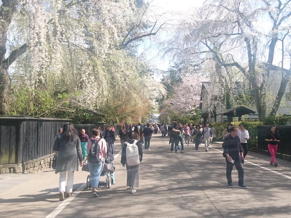 f:id:benkaku:20190504143525j:plain