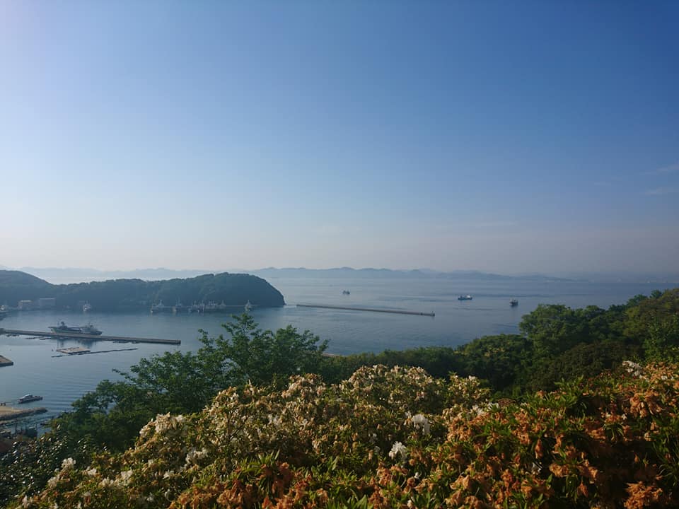 f:id:benkaku:20190513154810j:plain