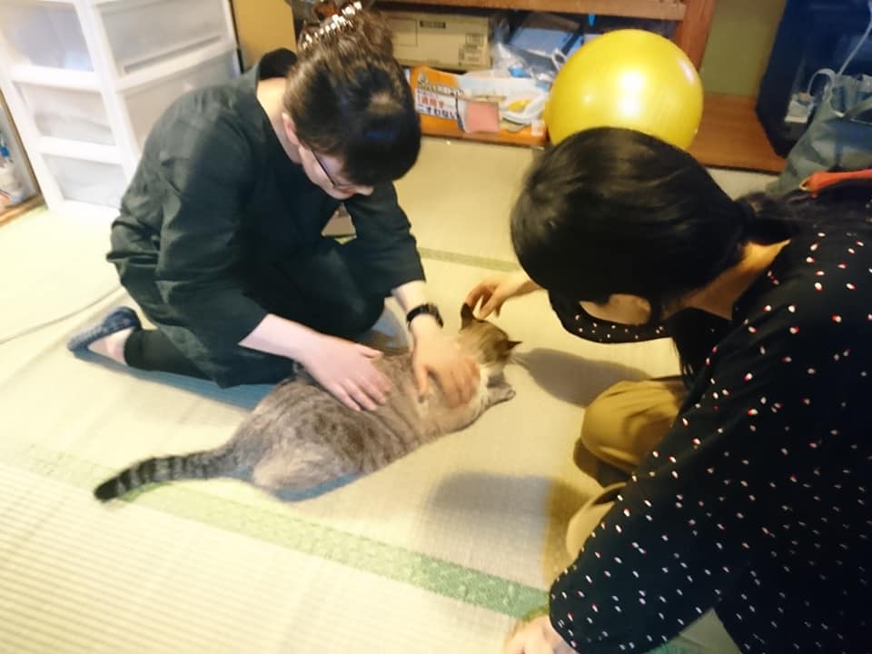f:id:benkaku:20190701143426j:plain