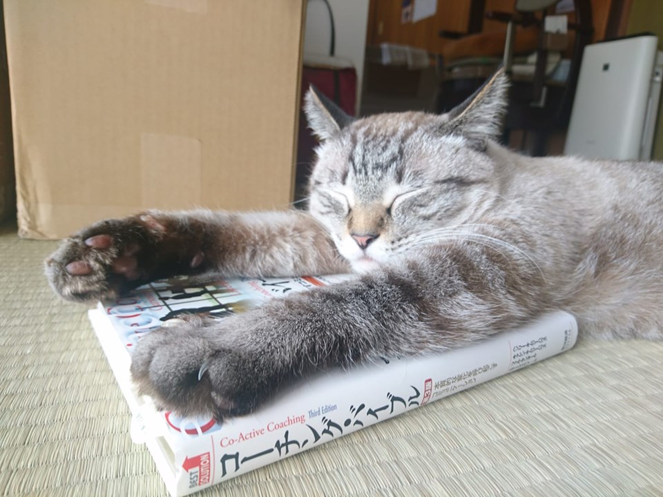 f:id:benkaku:20190814101920j:plain