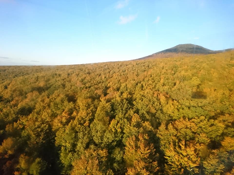 f:id:benkaku:20191018163714j:plain